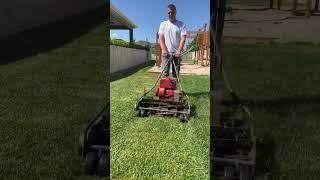 My ancient mower broke, lawn leveling series #lawnlife #lawn #lawncare #lawnleveling