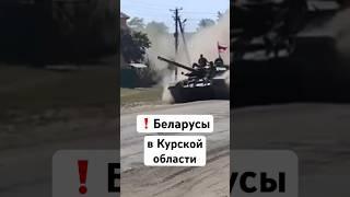 ️ Курская область сегодня — Беларусы заходят на танке / Последние новости. Видео: Белсат