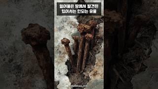 영구동토 아래에서 발견된 미스터리한 유물