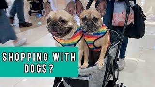 Visiting Starfield The Biggest Dog Friendly Mall With Two Frenchies