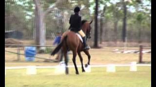 Rachael Ward riding Barney: NQEG Dressage 2011