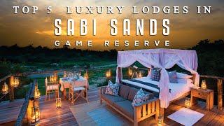 Top 5 Luxury Lodges in Sabi Sands Game Reserve | South Africa Luxury Safari