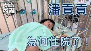 《潘貢貢》2021.07.12 潘貢貢為何住院了!