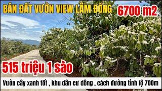  Bán mảnh đất vườn lâm hà , nguồn thu mạnh , view cao đẹp , khu dân cư giá bán rẻ