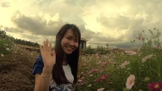 dalat full HD