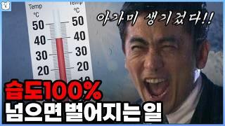 습도가 높으면 왜 더 더운 걸까? 우리나라가 유독 습하고 더운 이유