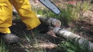 TreeTop Service Spring Hill - Tree Service Spring Hill FL - (352) 488-9142