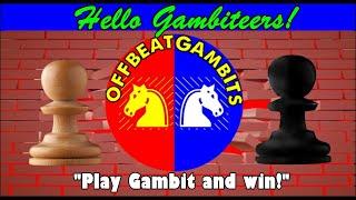 Offbeat Gambits Official Trailer..