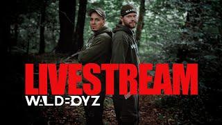 WALDBOYZ - LIVESTREAM #02 / Moin LEUDE was geht ab?