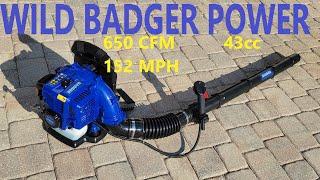 Wild Badger 43cc Backpack Leaf Blower review