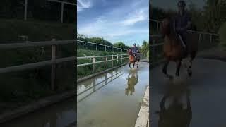Who’s that on my horse⁉️