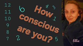 Where do you sit on the 12 levels of consciousness?