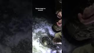Щука на жерлицы #2025 #жерлицы #рыбалка #щука