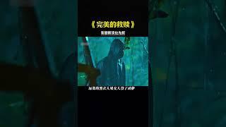 #橙子影视  新剧解读抢先看