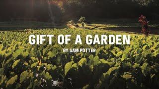 'Gift of a Garden' by Sam Potter