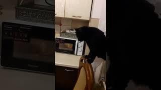 Таня следит за процессом разморозки мяса. Ждет когда можно его покушать.