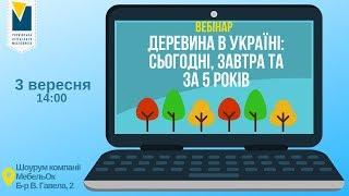 Вебінар “Деревина в Україні: сьогодні, завтра та за 5 років”