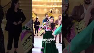#AfghanDanceVibes #MastWeddingNight #DesiDanceFloor #AfghanBeats #ShaadiFun #wedding