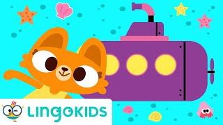 PURPLE SUBMARINE 🟣| Song for Kids | Lingokids