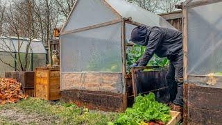 It's winter in the garden and we're harvesting, prepping, building, and cooking a crunchy meal