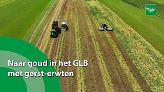 Naar goud in het GLB met gerst-erwten