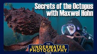 Maxwell Hohn On Filming Secrets Of The Octopus