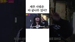 제주 사람은 집에 다 귤나무가 있다고?
