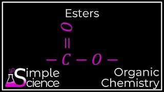 Esters and the Ester Group