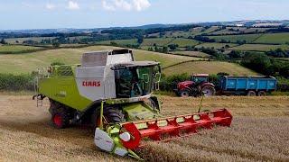 Harvest Time On The Farm! Wheat 2024!