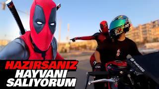 DEADPOOL İLE AKSİYON DOLU BİR GÜN 