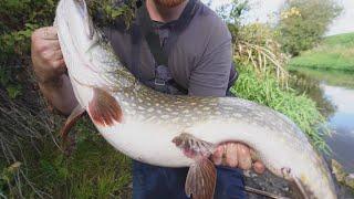 It SLAMMED The Lure at My Feet! Biggest Of The Year!