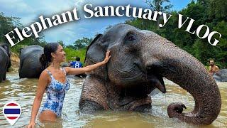 Elephant Sanctuary in Thailand  Best ETHICAL Elephant Camp in Chiang Mai