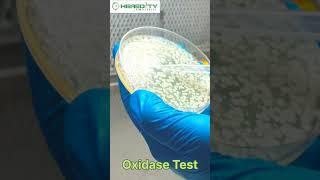 Oxidase-Positive #microbiology #hereditybioacademy #reels