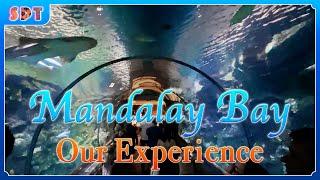 Our experience at Mandalay Bay! | Shark Reef | Resort King Room | Ri Ra | Hussong's | Wahlburgers