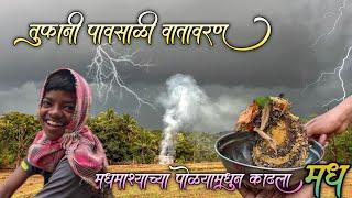 मधमाश्यांच्या पोळ्यामधून मध कसा काढतात बघा |कोकणात वादळी मुसळधार पाऊस पडतोय ठिक ठिकाणी ️