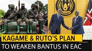 How Kagame, Museveni and Kenya's Ruto are working to destroy Congo