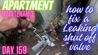 How to fix a leaking main shut off valve