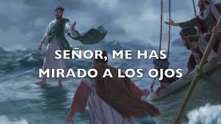 Señor me has mirado a los ojos - ( Pescador de hombres)