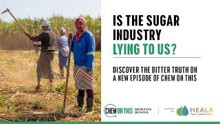 Chew On This Episode 4: Is the sugar industry lying to us?