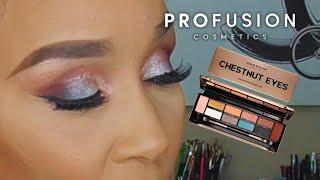 PROFUSION $3 EYESHADOW PALETTE | EYES TIN CASE - (CHESTNUT) PALETTE | Review and Tutorial!