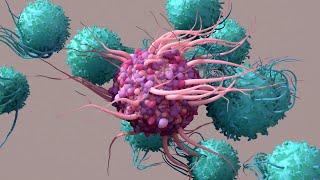 Dendritic Cells: The Regulators