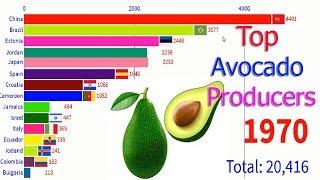 World's Largest Avocado  Producing Countries 1970 to 2018  (Avocado per kg)