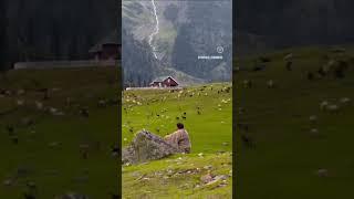 viral video #love #live #unfrezzmyaccount #traditional