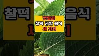 깻잎과 찰떡 궁합 음식 세가지 #건강#꿀팁 #영양 #음식 #깻잎