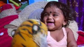 dhaanvishri and sahasra fight with tiger funny kids video