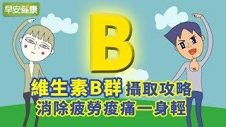 維生素B群攝取攻略，消除疲勞痠痛一身輕【早安健康】