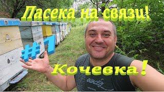 Пасека на связи #1 Кочевка к медоносам, нашел новое место!