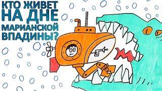 Кто живет на дне Марианской впадины?