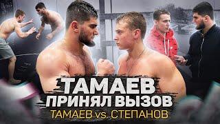 Тамаев vs. Данила Степанов. Бой Против ТикТокера!