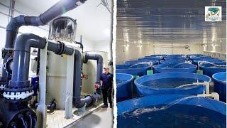 RAS (Recirculating Aquaculture Systems) at the Ferme Piscicole des Bobines trout farm